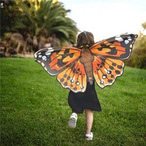 Insect  Dress-Up Butterfly Wings